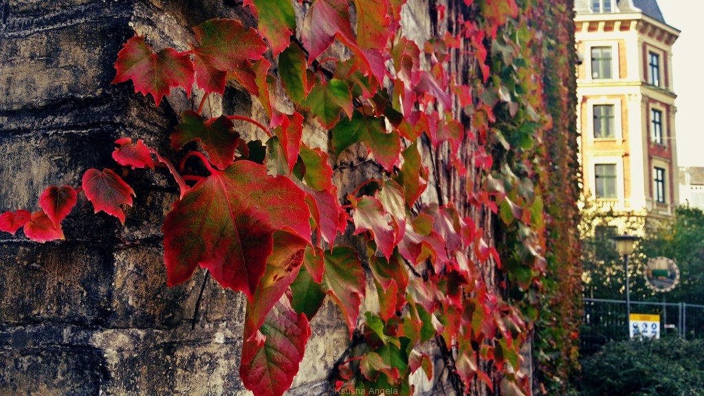 20141012_154312_Richtone(HDR)