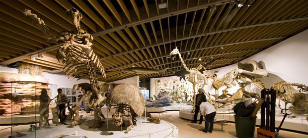 2c7764df-a499-4724-85d5-59af02614f58_img_9469